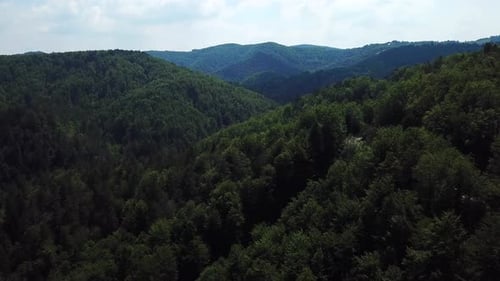 Aerial view of a green mountain forest landscape