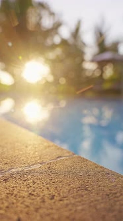 Vertical video. Golden Sunlight Reflects Across a Tropical Swimming Pool Surrounded by Palm Trees,
