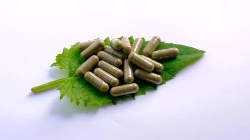 Leaf Covered with Medicine Capsules