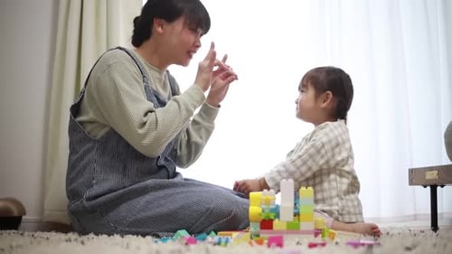 Mother and Child Play Together with Blocks