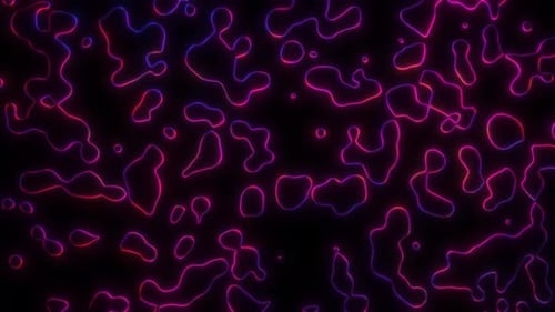 Abstract Neon Fluid Lines Motion Graphics Background Loop