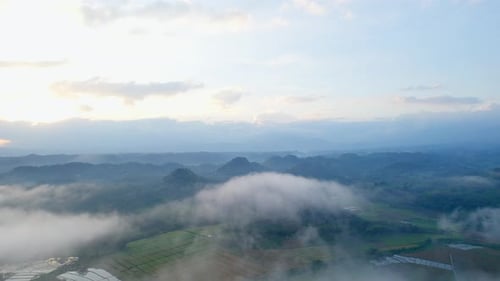 Drone Shot of Misty Forest