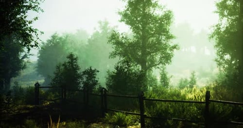 Misty Morning in a Peaceful Forest with Lush Greenery and Wooden Fence