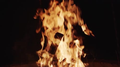 Burning Campfire Flames at Night