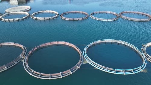 Aerial View Of Fish Ponds In The Dam Lake