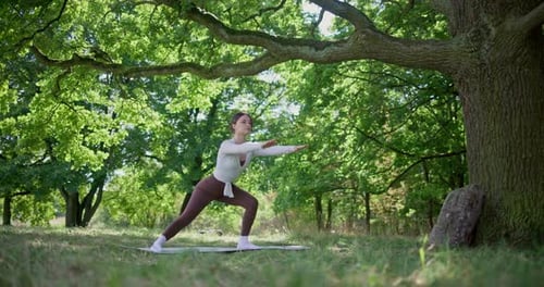 Young Beautiful Athletic Woman in Sportswear Doing Stretching and Warming Up in the Park Near a Tree