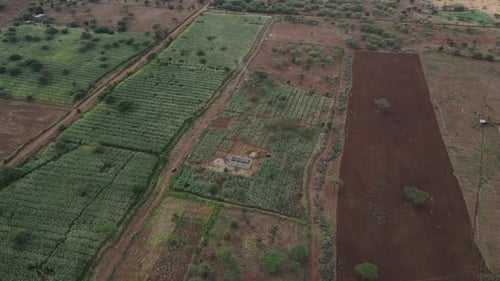 Aerial view on cultivated fields of African farmland in Southern Kenya
