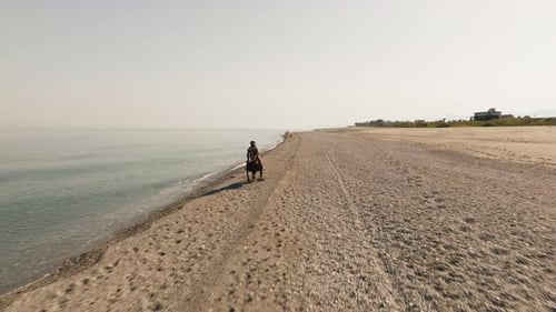 Galloping at Full Speed By the Ocean