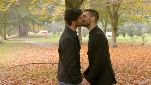 young gay couple holding hands and kissing at park