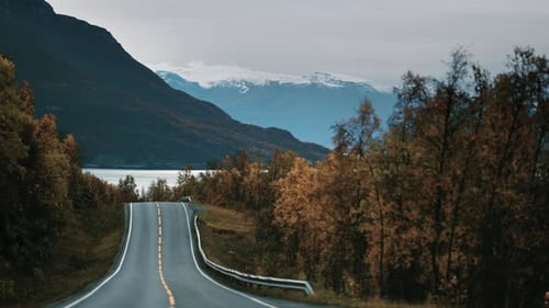 Narrow two-lane road following the fjord shoreline. Bright autumn forest covers the hills. snow-capp