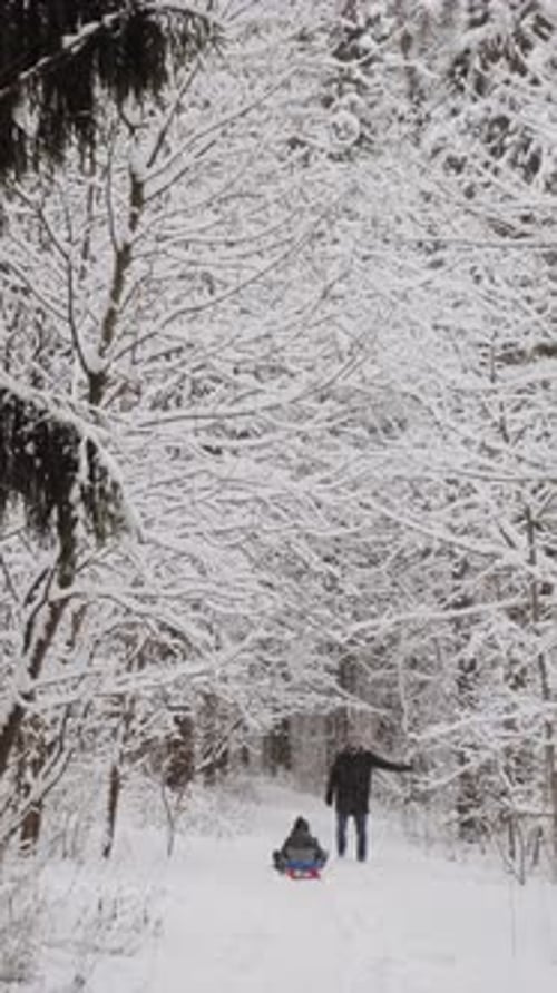 Familie spielt und hat Spaß zusammen im wunderschönen verschneiten Winterwald
