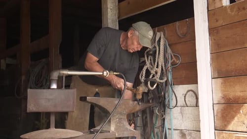 Herrador sénior moldeando herraduras en Anvil