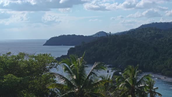 Aerial riser from behind palm trees reveals remote tropical Caribbean ...