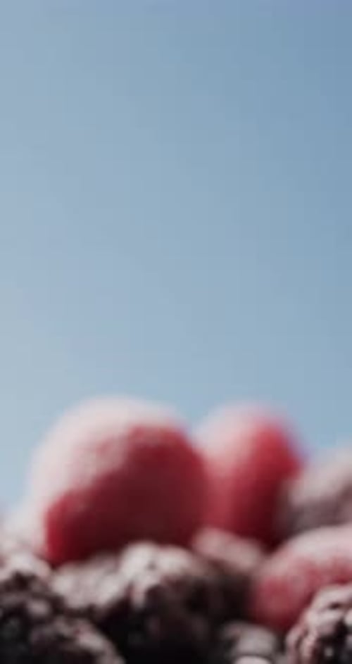 Micro vertical video close up of raspberries and copy space on blue background