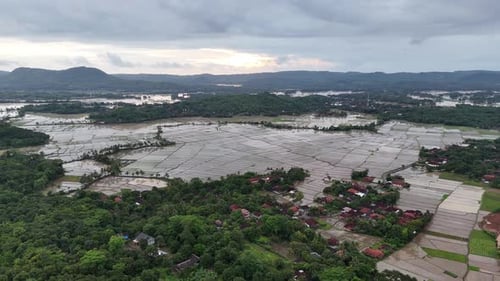 Flooded Rice Paddies Seen from Above