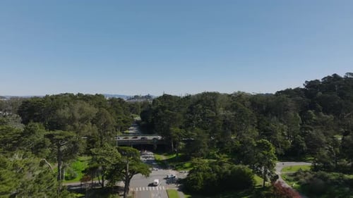 Forwards Ascending Fly Above Road in Park Revealing Cityscape with Downtown Skyscrapers in Distance