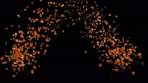 Autumn Maple Leaves Explosion 02 4K
