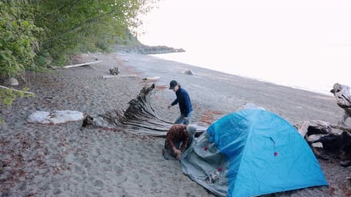 Male Friends Pitching Tent on Ocean Beach 4044 Years