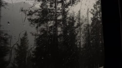 Rain and mist in Yellowstone valley.
