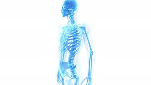 Anatomie der menschlichen Schulter, die Entzündungen in einer medizinischen 3D-Animation zeigt