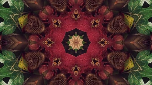 Seasonal Leaves Pattern 19