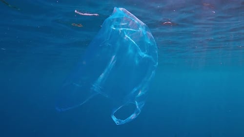 Bolsa de plástico desechada flotando bajo la superficie de agua azul que brilla bajo los rayos del sol