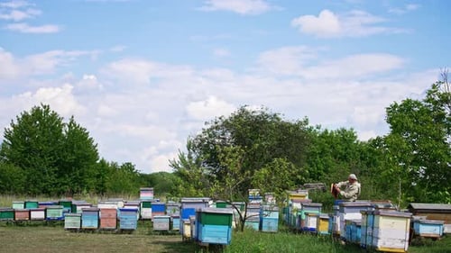 Rural wooden bee farm in the garden. Man in special uniform working at apiary.