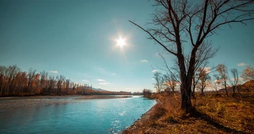 Mountain River Timelapse at the Summer or Autumn Day Time Wild Nature Clear Blue Water and Dry Trees