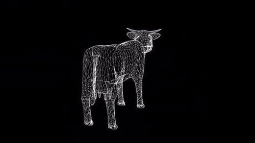 Kuh-Wireframe