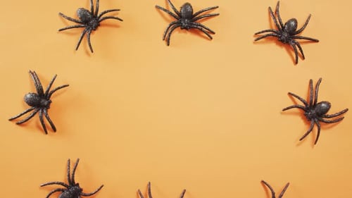 Close up of multiple spider toys with copy space against orange background