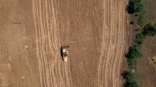 Aerial View Combine Harvester harvesting the field