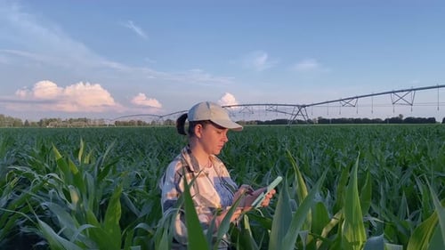 Female farmer working at field, irrigation system on background