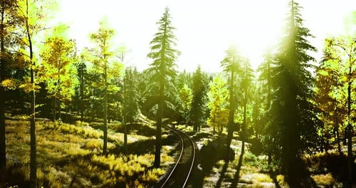 Hermoso paisaje forestal con sinuosas vías de tren al atardecer