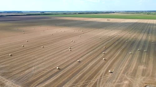 This video captures a stunning aerial perspective of a vast harvested field, showcasing numerous hay