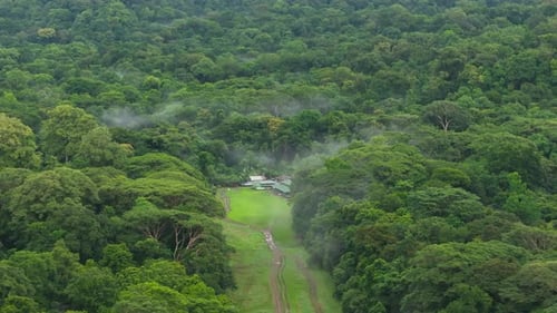 Una impresionante vista aérea de una vibrante selva tropical perfecta para la exploración de la naturaleza y la aventura