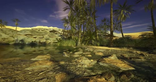 Palm Trees and Tranquil Water Create a Serene Oasis in the Desert Landscape