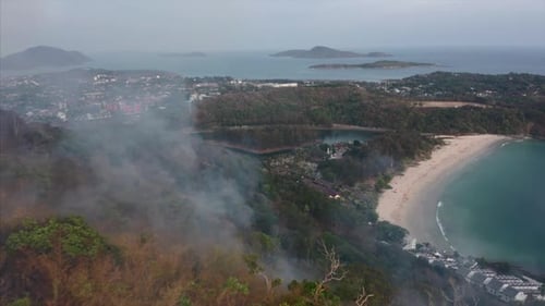 Fire in the tropical forest with smoke