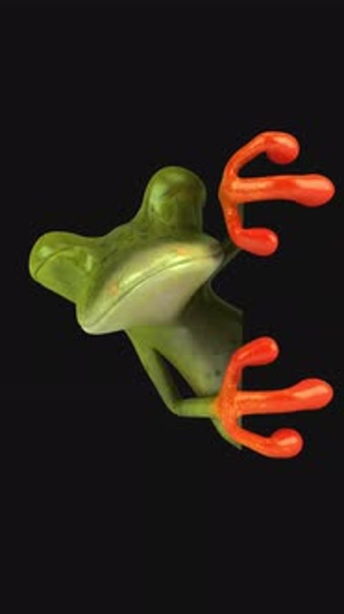 Fun 3D cartoon frog vertical animation (with alpha channel included)