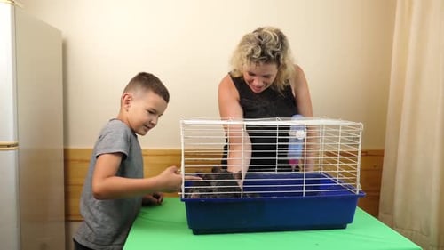 94 1People care for and play with chinchillas.