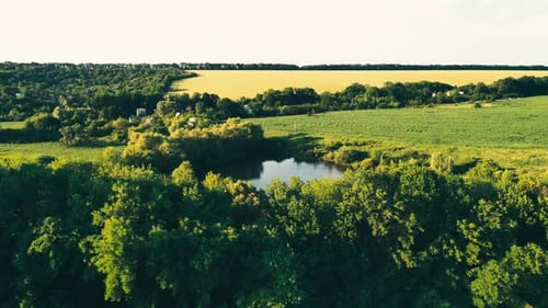 Pond Among Fields and Forest
