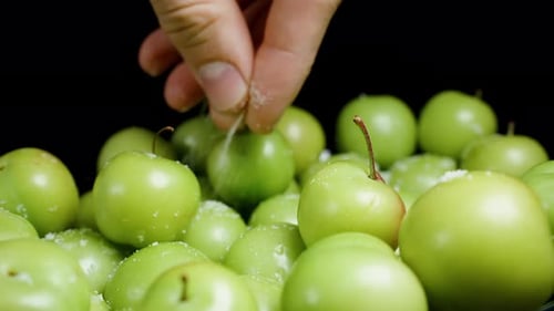 Um punhado de ameixas verdes frescas é polvilhado com sal para suavizar o sabor amargo.