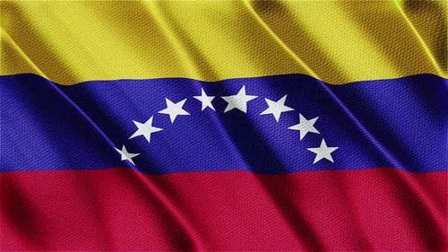 Realistic Waving Venezuelan Flag Loop Animation