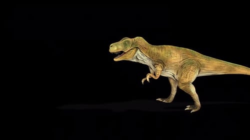 Tyrannosaurus Dinosaur Walk 2