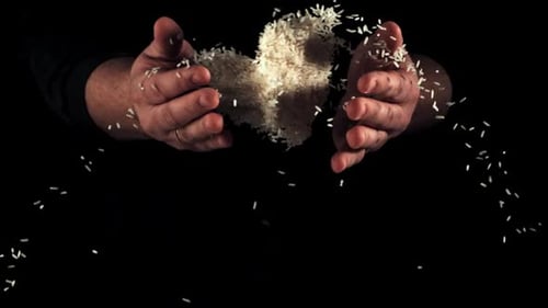 Hands Pouring Rice on Black Background