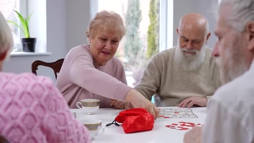 Seniors Enjoying Bingo Game Together Indoors