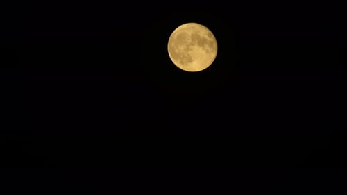 Golden Moon Rising at Night in Dark Sky