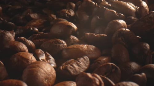 Roasted Coffee Beans Close Up Texture