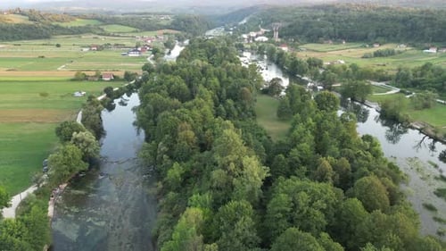 Beautiful Green River Surrounded By Forest