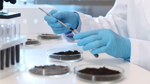 Scientist Analyzing Soil Samples in Petri Dishes