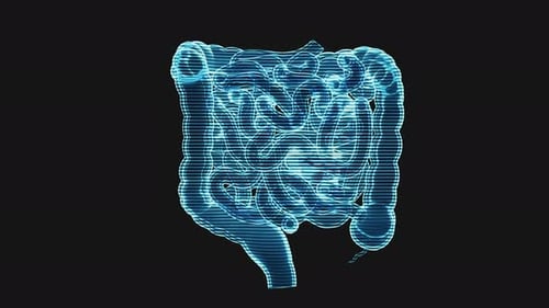 Loop rotation of intestinal tract with holographic effect